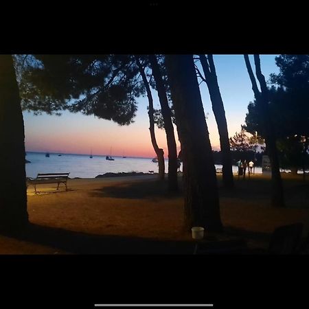 Apartman Sija Novigrad Novigrad Istria Dış mekan fotoğraf