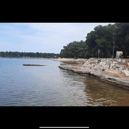 Apartman Sija Novigrad Novigrad Istria Dış mekan fotoğraf