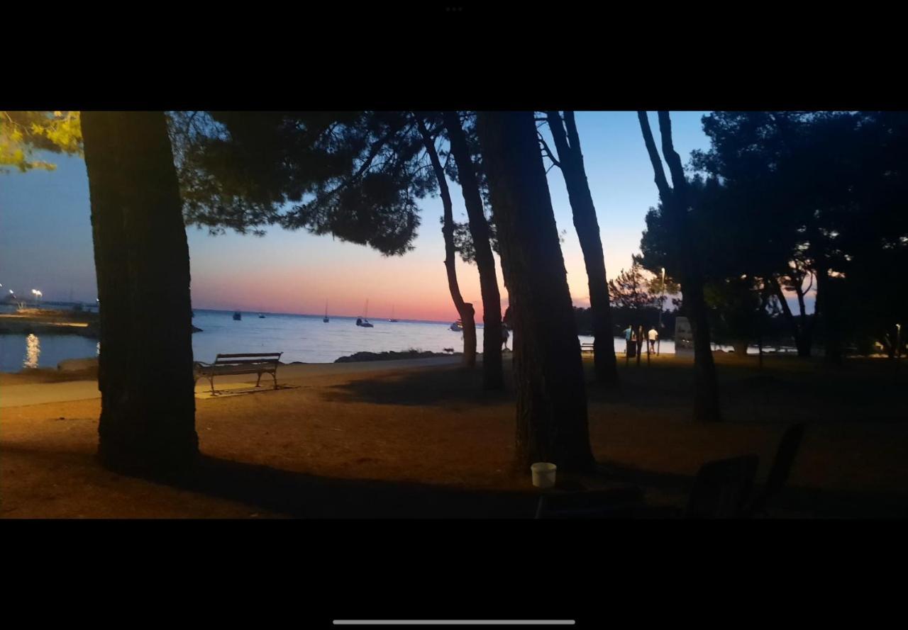 Apartman Sija Novigrad Novigrad Istria Dış mekan fotoğraf